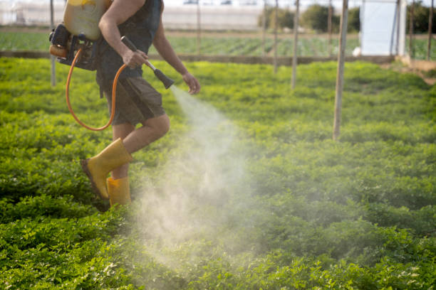 Best Residential Pest Control  in Owingsville, KY