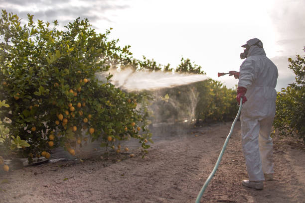 Insect Control in Owingsville, KY